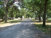 Campground B Area