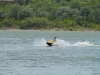 KDC_0018